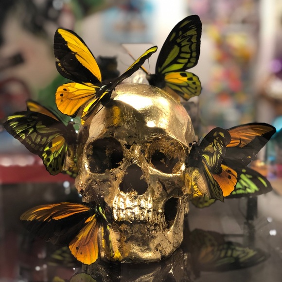 Meet your Posher, Quan - Picture 1 of 1